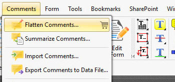 Summarize/Flatten/Export Comments